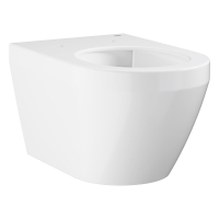 Euro Ceramic Унитаз настенного монтажа (102485SH00)
