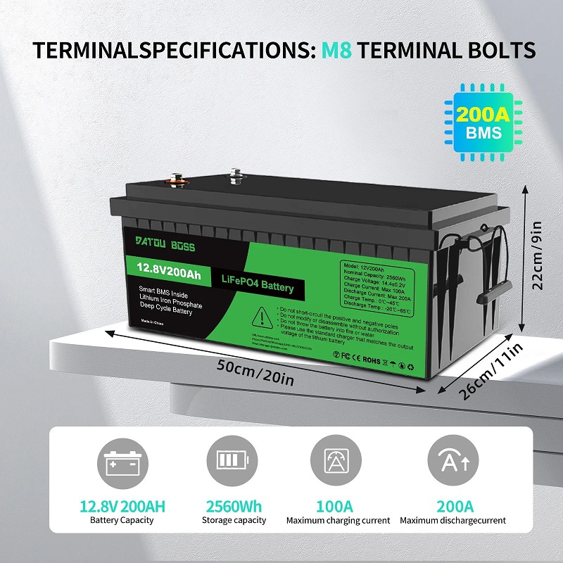 Аккумулятор DATOU BOSS LiFePO4 12V 200Ah фото 2