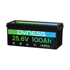 Аккумулятор Dyness LiFePO4 25.6V 100Ah