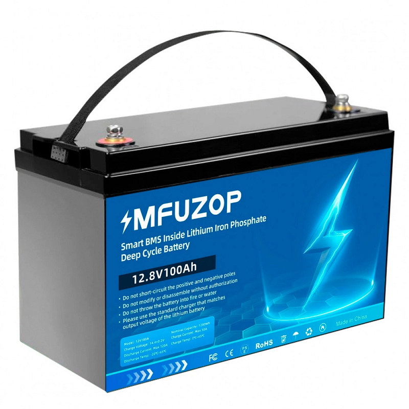 Аккумулятор MFUZOP LiFePO4 12V 100Ah фото 1