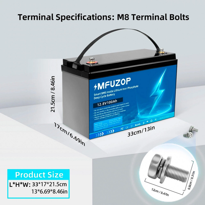 Аккумулятор MFUZOP LiFePO4 12V 100Ah фото 2