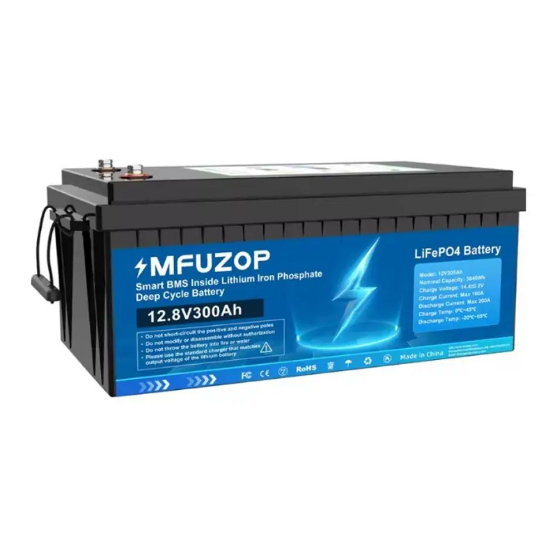 Акумулятор MFUZOP LiFePO4 12V 300Ah фото 1