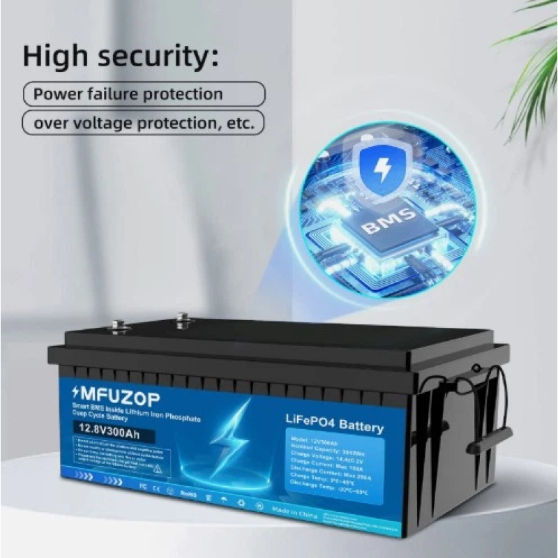 Акумулятор MFUZOP LiFePO4 12V 300Ah фото 3