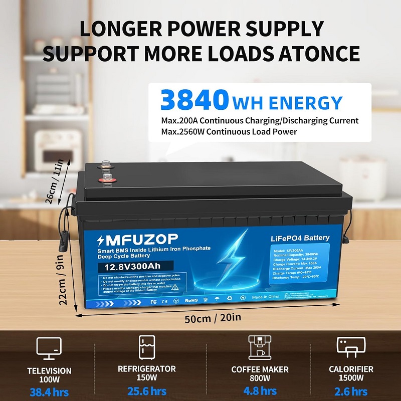 Акумулятор MFUZOP LiFePO4 12V 300Ah фото 2