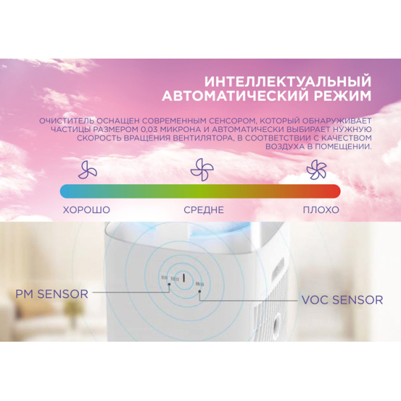 Превью 5