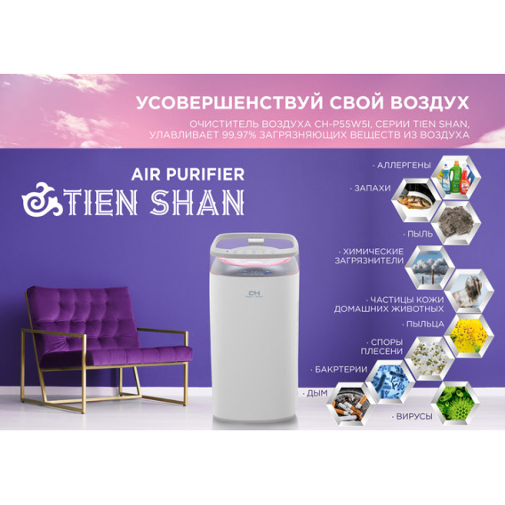 Превью 6