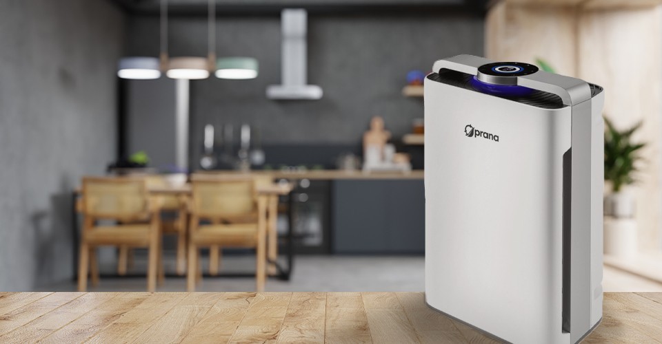 Очиститель воздуха PRANA Air Cleaner Pro в интерьере Очиститель воздуха PRANA Air Cleaner Pro в комнате