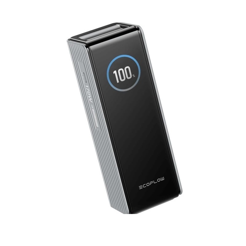 Повербанк EcoFLow RAPID Power Bank 25000mAh Серебристый фото 3