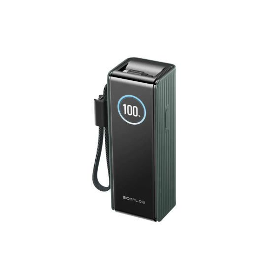 Повербанк EcoFLow RAPID Power Bank з кабелями 25000mAh Зелений фото 1