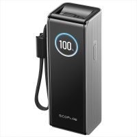 Повербанк EcoFLow RAPID Power Bank з кабелями 25000mAh Серебристый