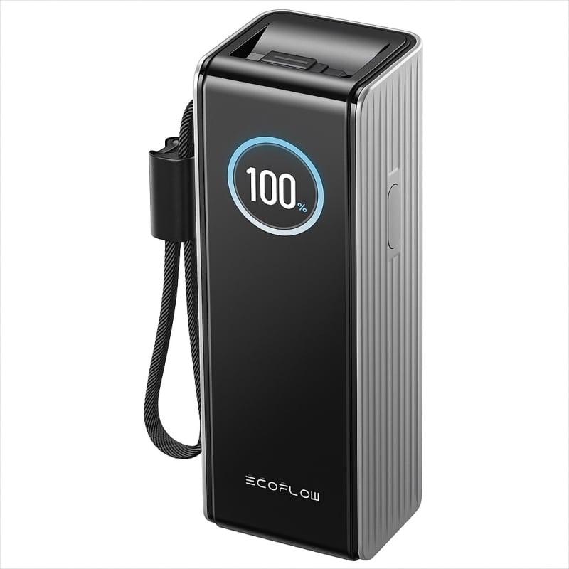 Повербанк EcoFLow RAPID Power Bank з кабелями 25000mAh Серебристый фото 1