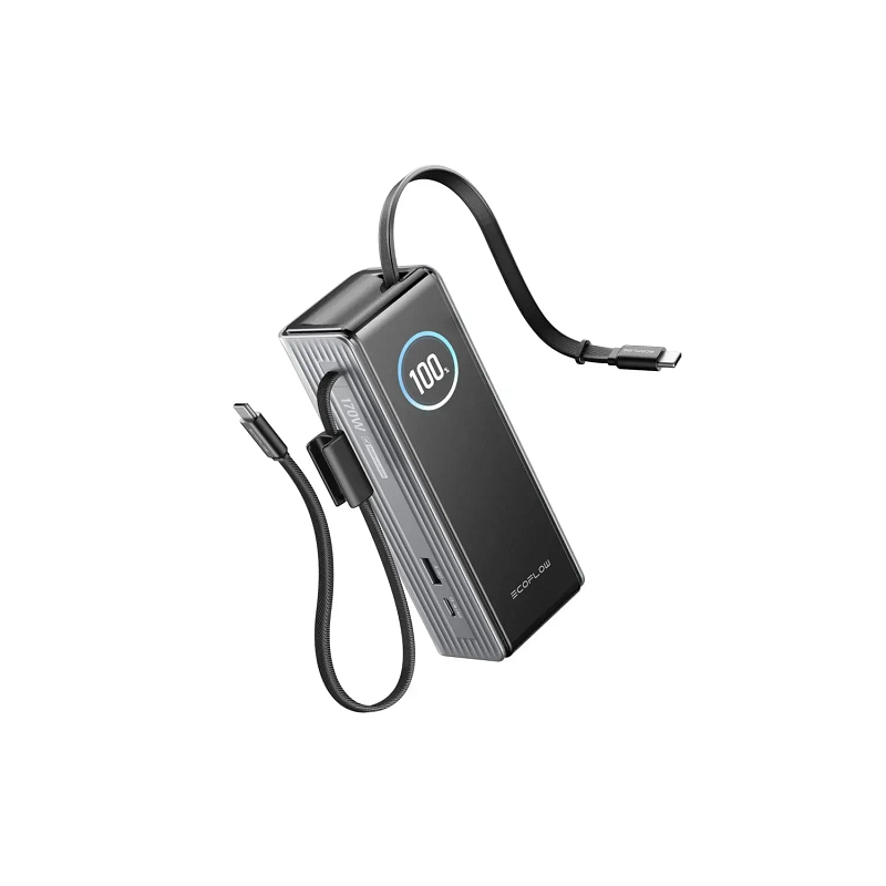 Повербанк EcoFLow RAPID Power Bank з кабелями 25000mAh Серебристый фото 8