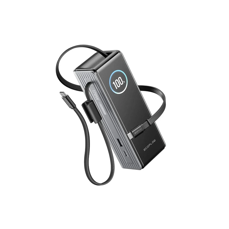 Повербанк EcoFLow RAPID Power Bank з кабелями 25000mAh Серебристый фото 10