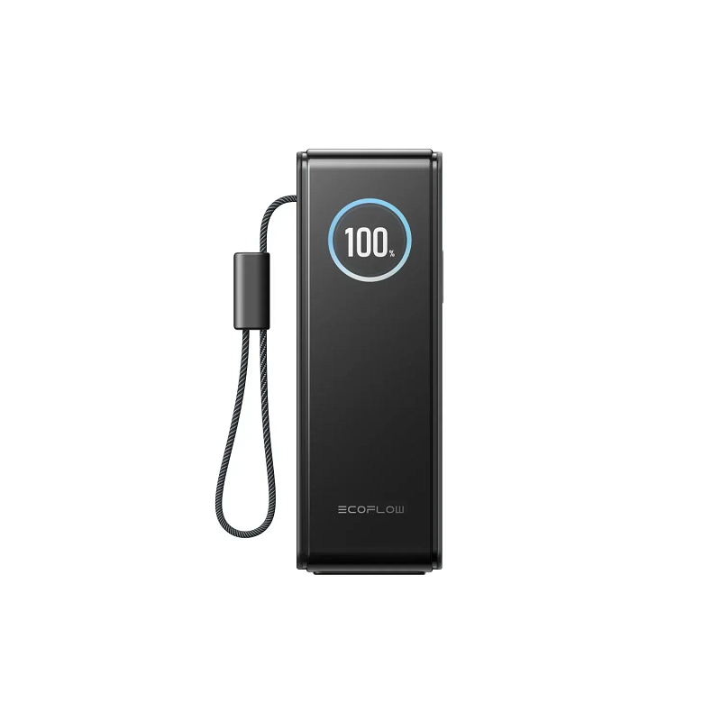 Повербанк EcoFLow RAPID Power Bank з кабелями 25000mAh Чорний фото 2