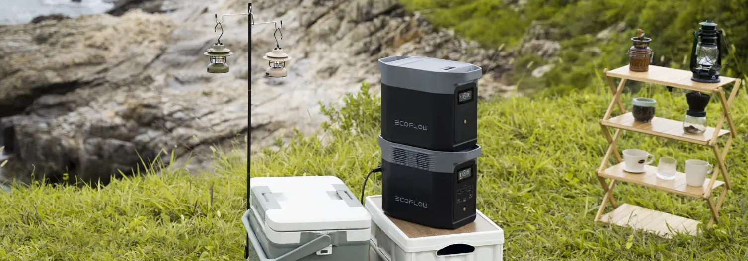 Мобільна зарядна станція EcoFlow DELTA 2