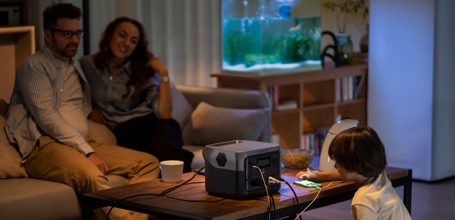 Енергостанція EcoFlow DELTA RIVER 2 Pro для домашнього використання міжнародна версія
