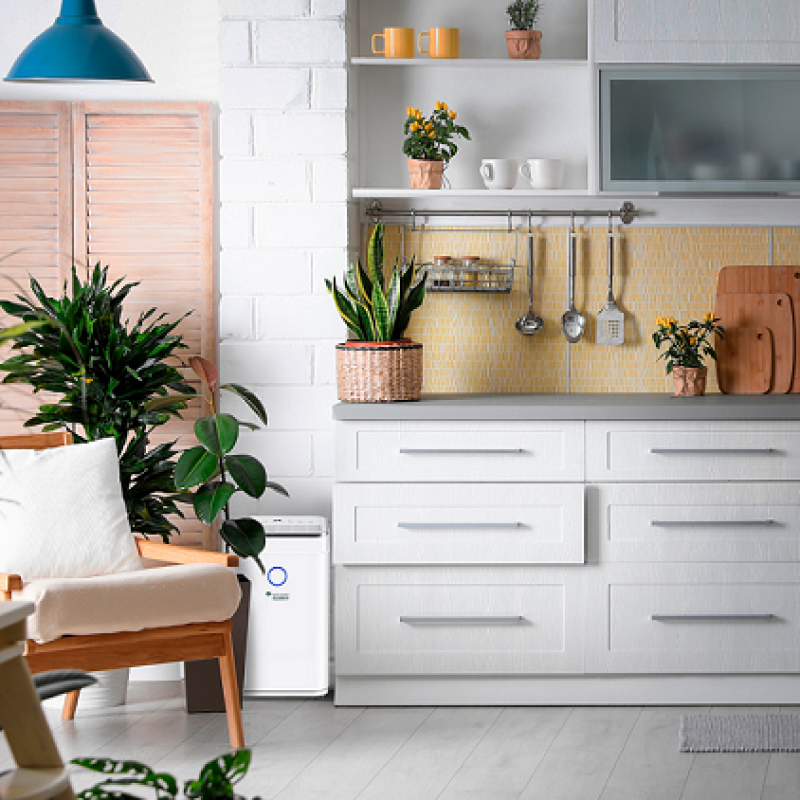 Осушитель воздуха MYCOND Roomer Smart 25 фото 9