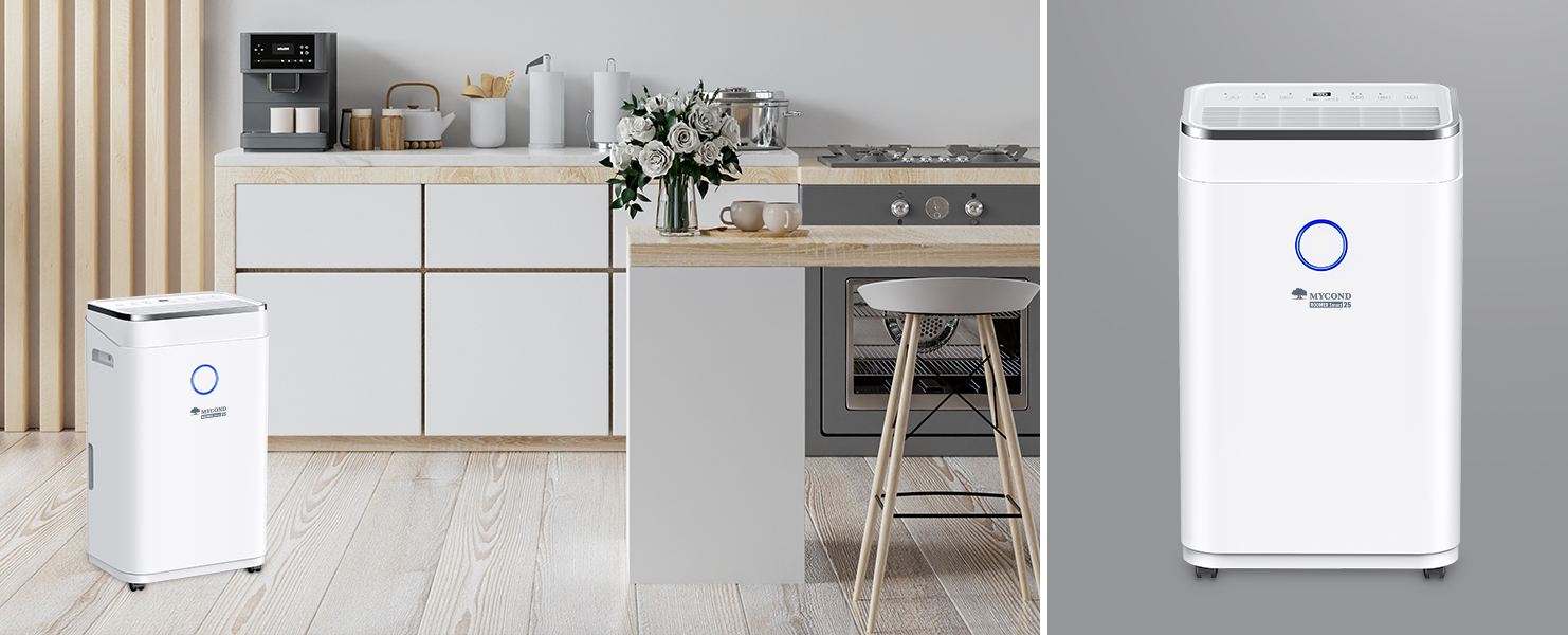 Осушувач повітря MYCOND Roomer Smart 25 в інтер'єрі Осушувач MYCOND Roomer Smart 25 в сучасному інтер'єрі
