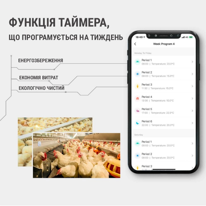 Превью 6