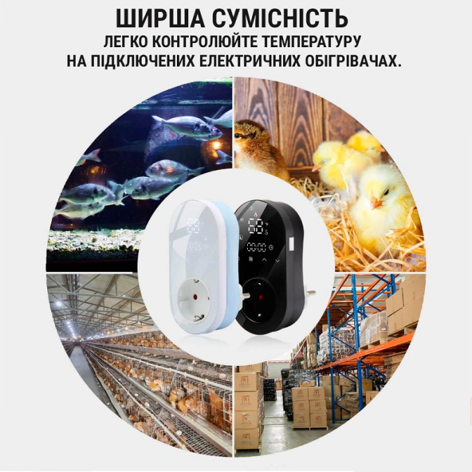 Превью 10