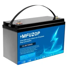 Аккумулятор MFUZOP LiFePO4 12V 100Ah