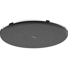 Raindance Alive S Верхній душ 300мм 1jet, 5,4л/хв., хром