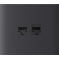 Центральная панель для встроенной розетки Ajax CenterCover (LAN) vertical Graphite (126207.318.GP)