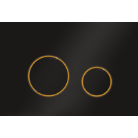 Панель управления для унитаза Ravak CIRCLE черно-золотая GPX2240109