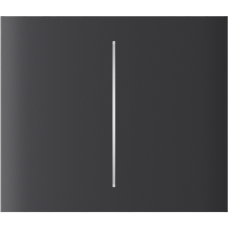 Центральная кнопка для двухклавишного выключателя Ajax CenterButton (2-gang) vertical Graphite